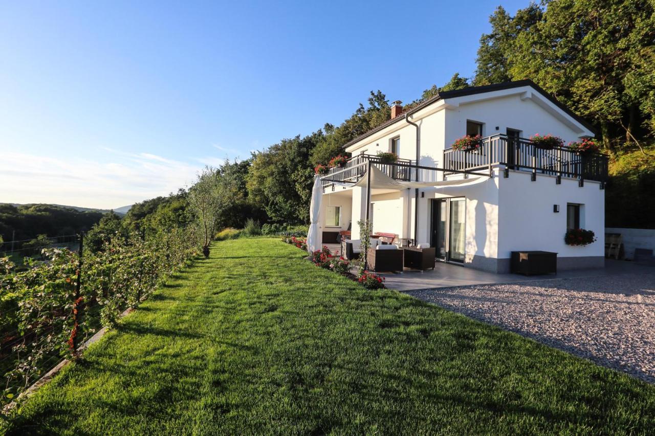 Hisa Dobrega Pocutja Kozina Exterior foto