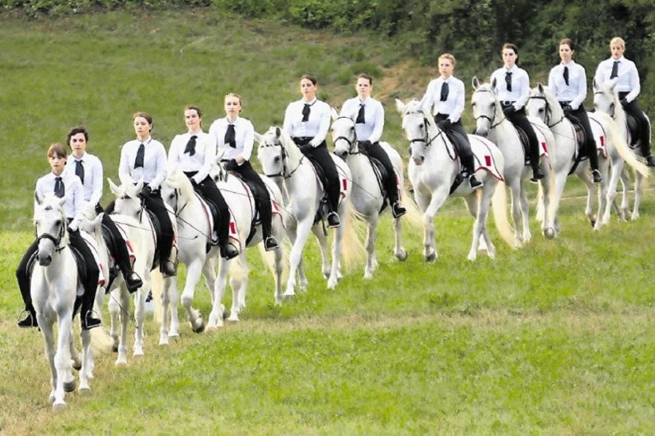 Hisa Dobrega Pocutja Kozina Exterior foto
